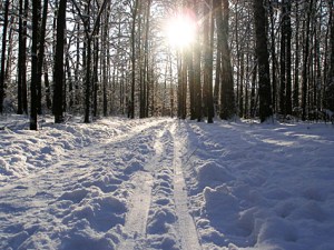 crosscountryskitracks