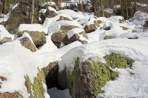 snowyboulder